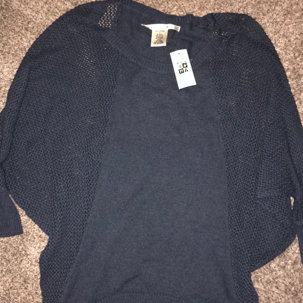 Max Studio Navy Blue Crew Neck Sweater